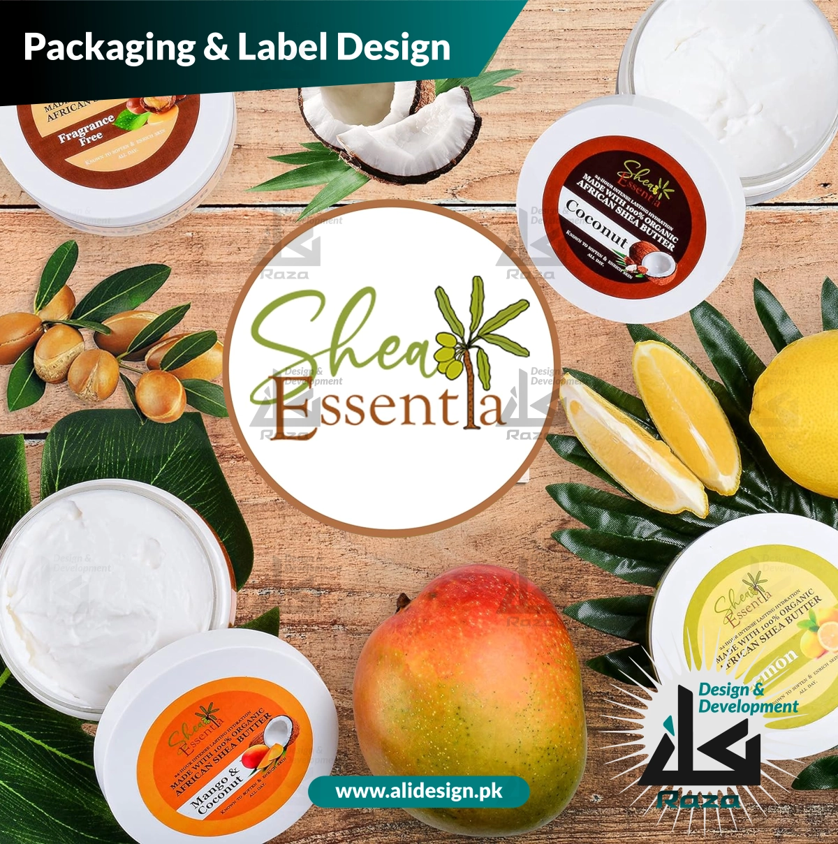 project-gallery-image